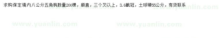 求購8公分五角楓