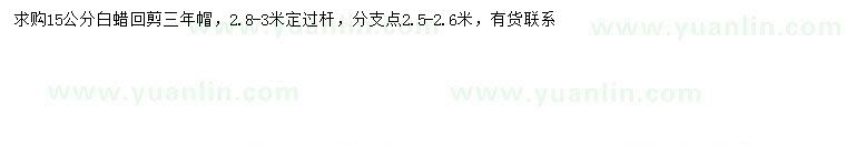 求購(gòu)15公分白蠟