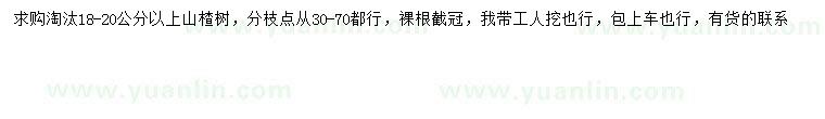 求購18-20公分以上山楂