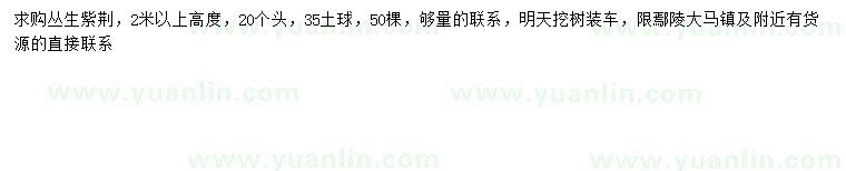 求購高2以上叢生紫荊