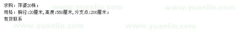 求購(gòu)胸徑20公分萍婆