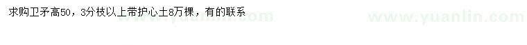 求購高50衛(wèi)矛