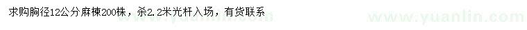 求購胸徑12公分麻楝