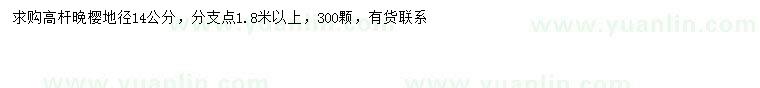 求購地徑14公分高桿晚櫻