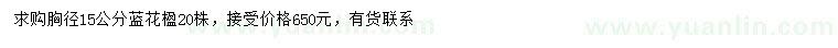求購胸徑15公分藍花楹