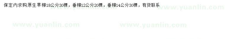 求購18公分旱柳、12、14公分垂柳