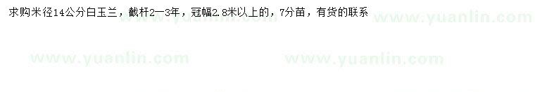求購米徑14公分白玉蘭