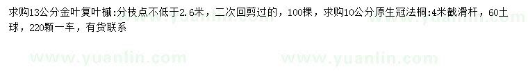 求購(gòu)13公分金葉復(fù)葉槭、10公分法桐