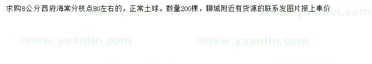 求購8公分西府海棠