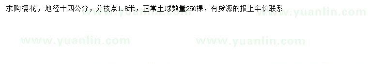 求購地徑14公分櫻花