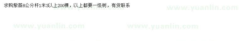求購8公分紫薇