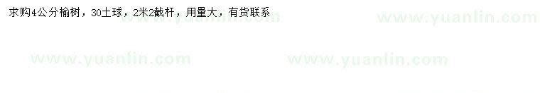求購4公分榆樹