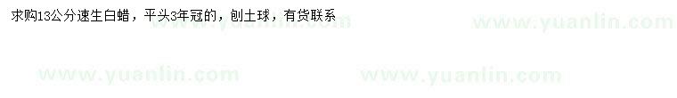 求購13公分速生白蠟