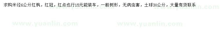 求購米徑6公分紅楓