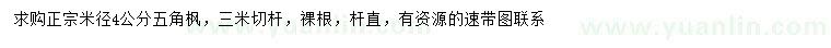 求購米徑4公分五角楓