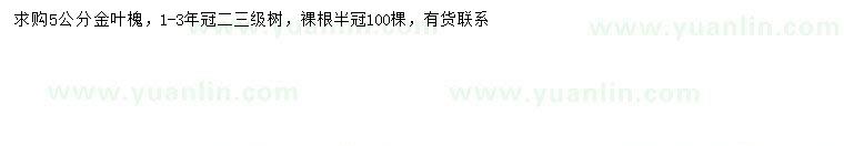 求購5公分金葉槐
