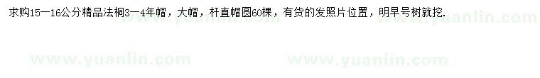 求購15-16公分法桐