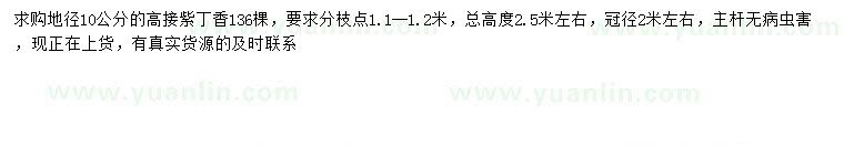 求購地徑10公分高接紫丁香