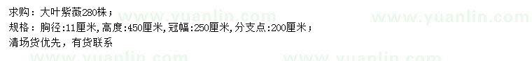 求購胸徑11公分大葉紫薇