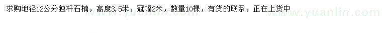 求購地徑12公分石楠