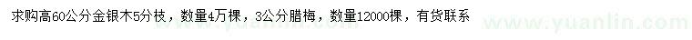 求購高60公分金銀木、3公分臘梅