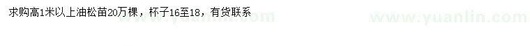 求購高1米以上油松