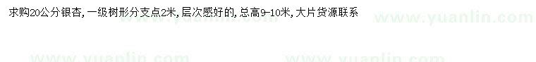 求購20公分銀杏