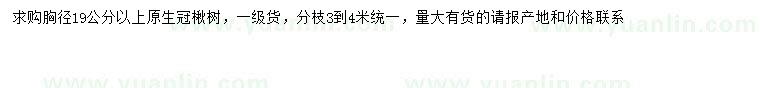 求購胸徑19公分以上楸樹