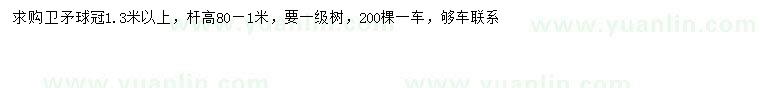 求購冠1.3米以上衛(wèi)矛球