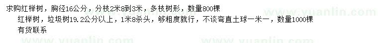 求購(gòu)胸徑16、19.2公分以上紅櫸樹