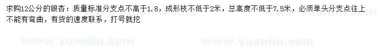 求購(gòu)12公分銀杏