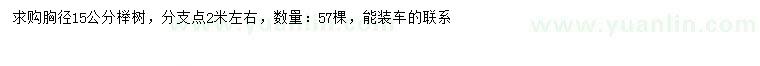 求購胸徑15公分櫸樹