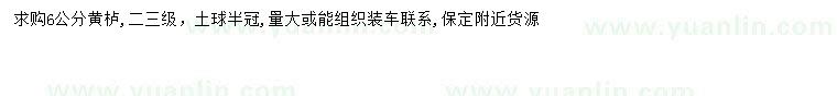 求購6公分黃櫨