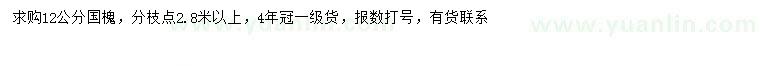 求購12公分國槐
