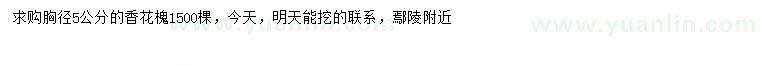 求購(gòu)胸徑5公分香花槐
