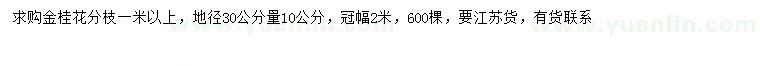 求購30量10公分金桂