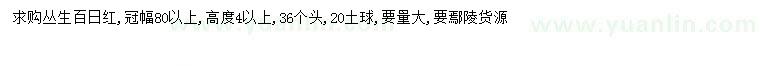求購冠幅80公分以上叢生百日紅