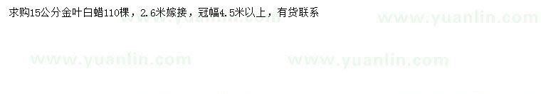 求購15公分金葉白蠟