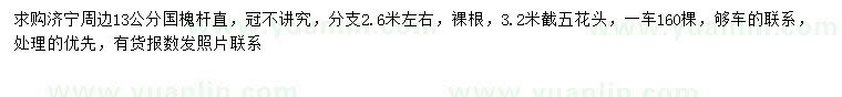 求購13公分國槐
