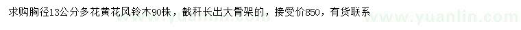 求購胸徑13公分多花黃花風(fēng)鈴木
