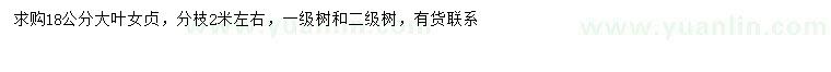求購18公分大葉女貞