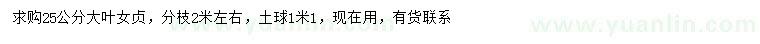 求購25公分大葉女貞