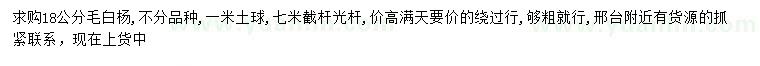 求購18公分毛白楊