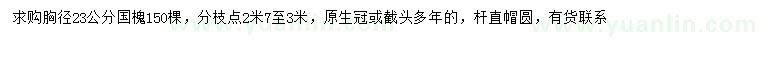 求購胸徑23公分國槐