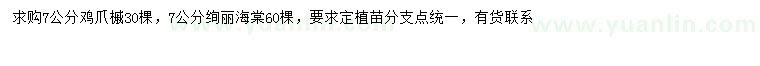 求購7公分雞爪槭、絢麗海棠