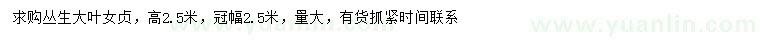 求購冠幅2.5米叢生大葉女貞