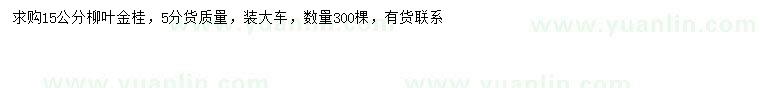 求購15公分柳葉金桂