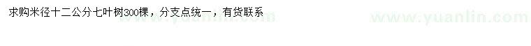 求購米徑12公分七葉樹
