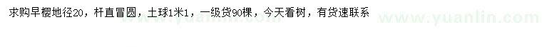 求購地徑20公分早櫻