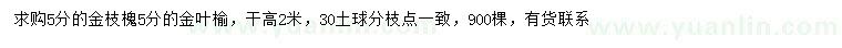 求購5公分金枝槐、金葉榆